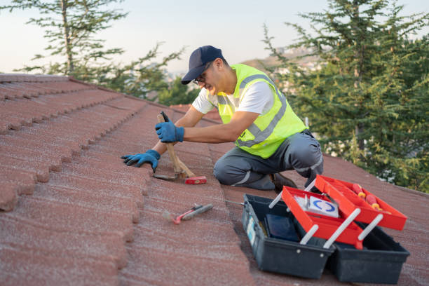 Best Sealant for Roof  in Coto De Za, CA